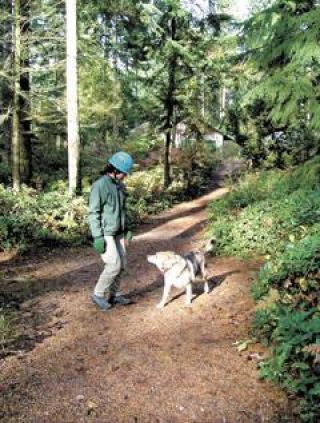 Future use of WSU forest tough to see through trees