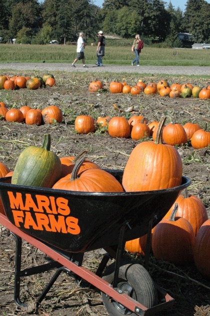 There are several farms scattered across the Plateau offering season fun and games. These were taken Sunday