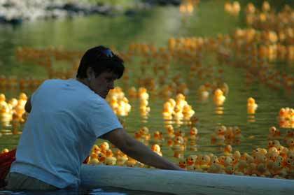 The 20th annual Enumclaw Regional Healthcare Foundation and Enumclaw Rotary Club duck race fundraiser rolled down the Green River Sept. 12.