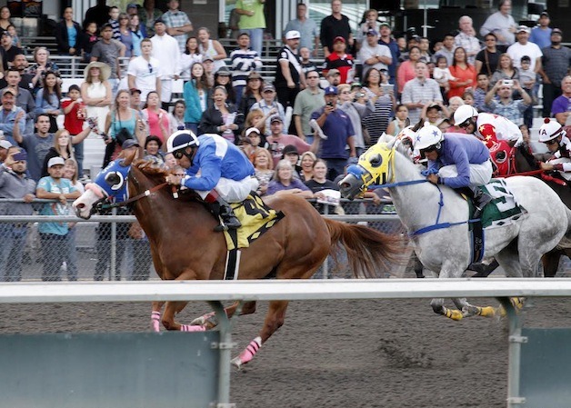 Chicks Special Angel and jockey Eddie Aceves dominate the Bank of America Emerald Downs Championship Challenge for older Quarter Horses. A  6-year-old Oregon-bred trained by Juan Sanguino and owned by Miguel Sanguino