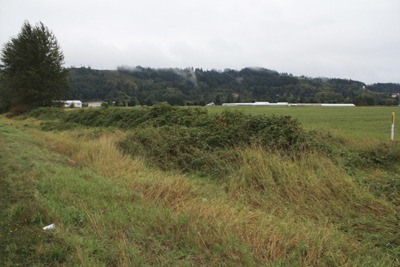A portion of the land planned for development by Orton Farms LLC.