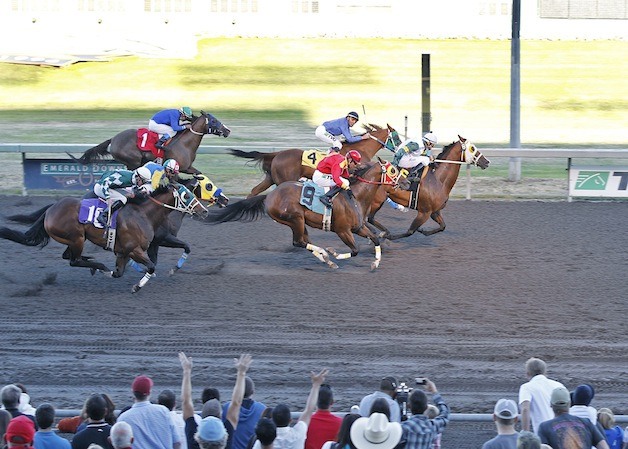 A Royal Dervish prevails in the 2012 running of the Bank of America Emerald Downs Championship Challenge at 440 yards. Emerald Downs presents the third running of the prestigious Quarter Horse race on Sunday