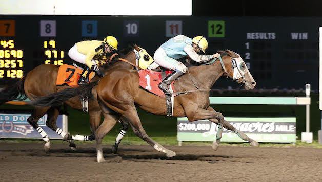 Mister Breeze (No. 1) rallies to victory under Debbie Hoonan in the $12