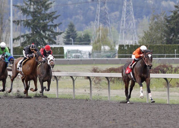 Wave Rider and jockey Leonel Camacho-Flores romped by 5-1/4 lengths in the Budweiser Purse for fillies and mares at Emerald Downs. April 15