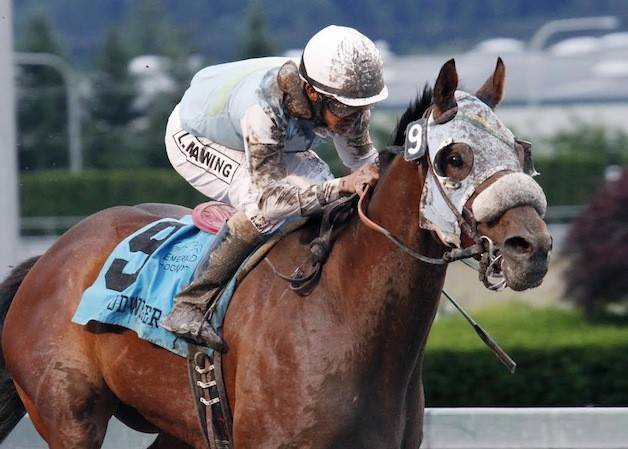 Erin Palmer/Emerald Downs Photo: Jim and Mona Hour's 5-year-old gelding Stryker Phd sets a stakes record of 1:34.15 while winning the Budweiser Handicap at Emerald Downs on June 15