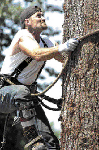 Last year’s All-Around Logger victory gave Jeff Carlson his  third-straight title and fourth top finish overall. This year’s competition begins Saturday and continues Sunday on the Log Show grounds in Buckley.