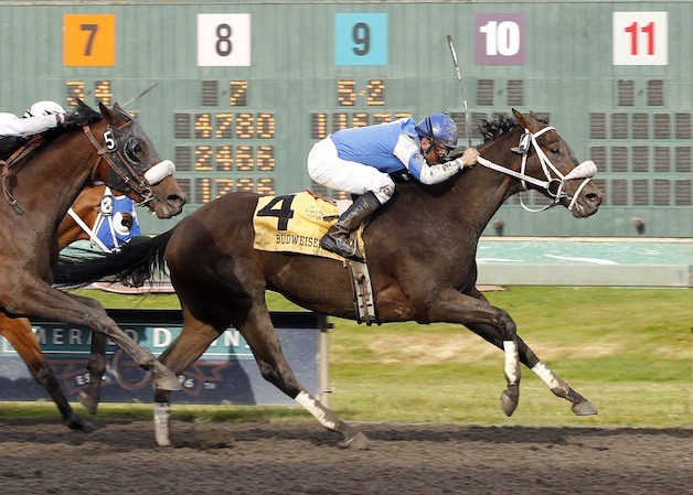 Ron and Rosalie Warren's 5-year-old gelding Jebrica