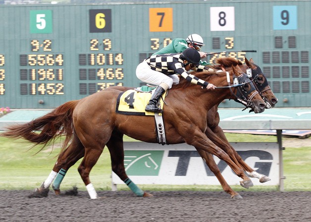 D'honorable One (No. 4) and Makors Finale dead-heat for first place in the $50