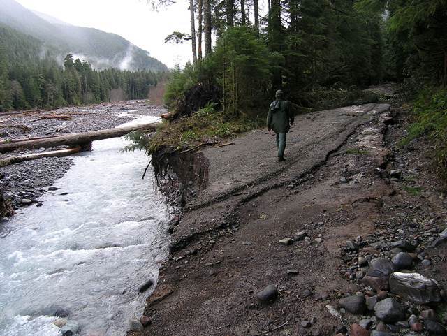 At Mt. Rainier National Park