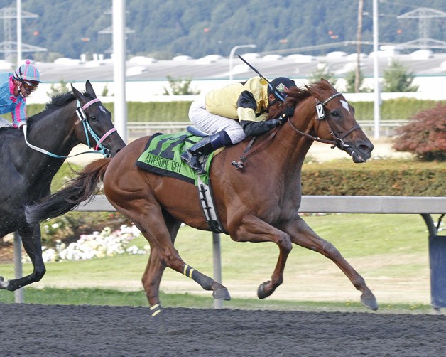 West Point Thoroughbreds Aweome Gem and jockey David Flores win over Noosa Beach in the 2011 Longacres Mile (G3) at Emerald Downs.