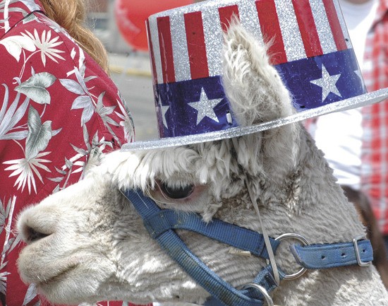 Enumclaw’s annual Stars and Stripes parade rolls along Cole Street the morning of the Fourth of July