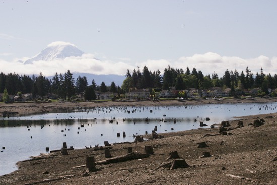 Seasonal drawdown of Lake Tapps to begin in November | Cascade Water