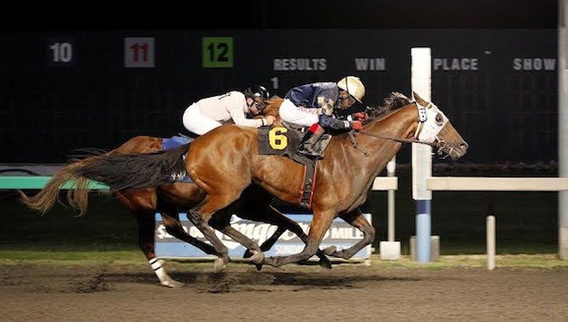 Leadership and jockey Rocco Bowen surge paast Mt. Top Kat for a half-length victory Friday in the feature race for 3-year-olds and up at Emerald Downs.