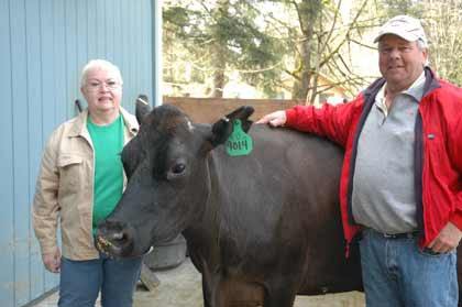 Nancy Green and Dale Johnson are venturing into the raw milk business with their Happy Cow Dairy.