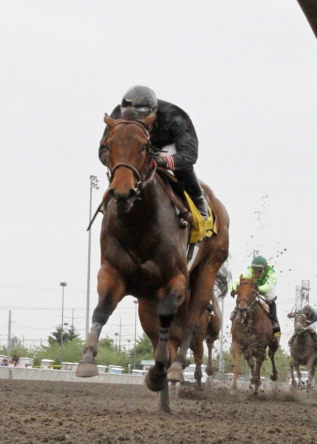 Stopshoppingdebbie and jockey Rocco Bowen roll to a stakes record in the $50