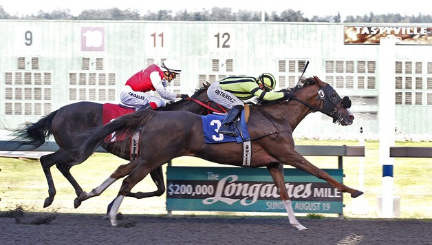 Sis's Sis and jockey Juan Gutierrez combine for a half-length triumph in the $17