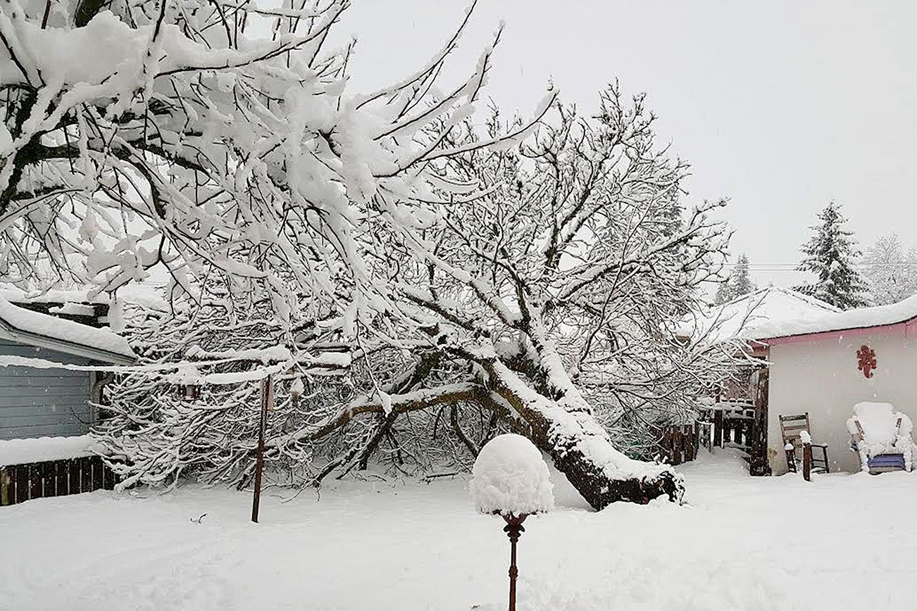 Snow day on the Plateau