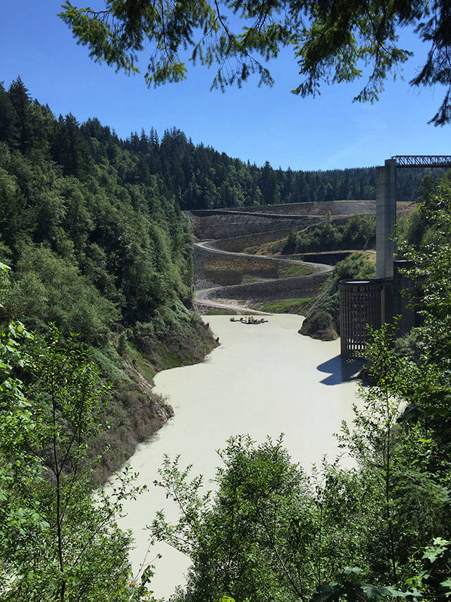 A new study will review the Mud Mountain Dam and the surrounding area for flood preparedness. Photo by Kevin Hanson