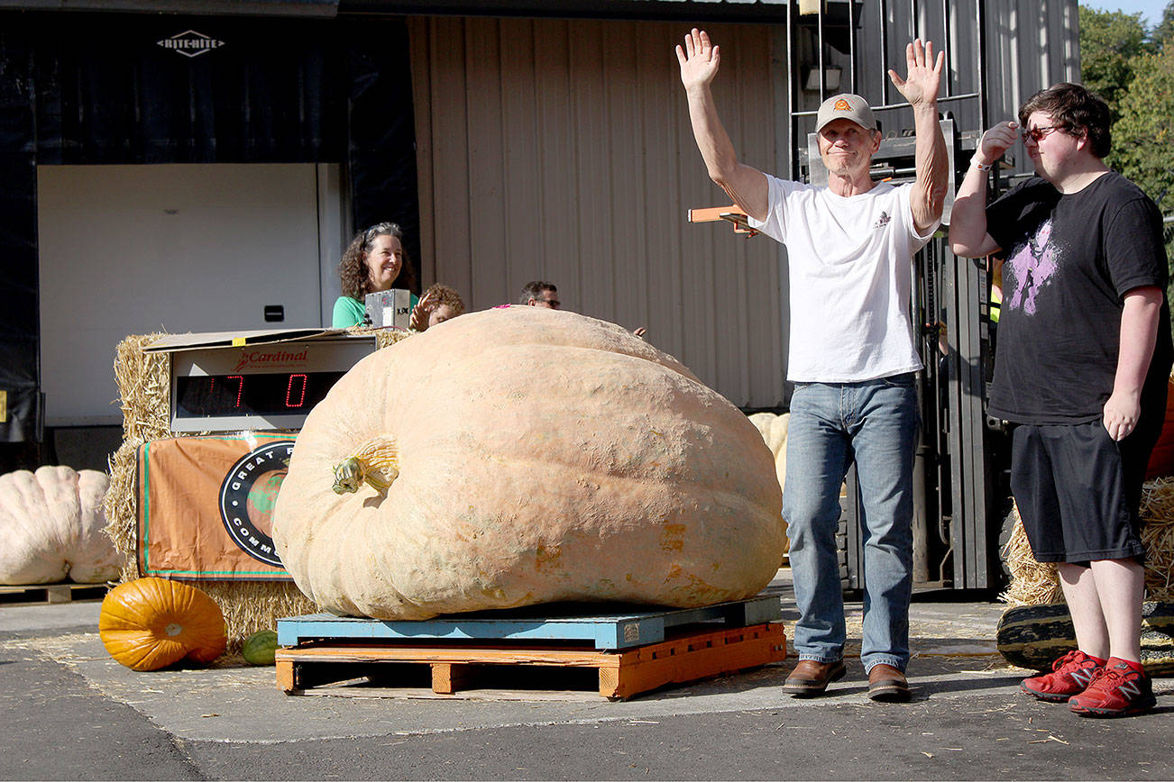 Great Pumpkin grows at Krainick Dairy