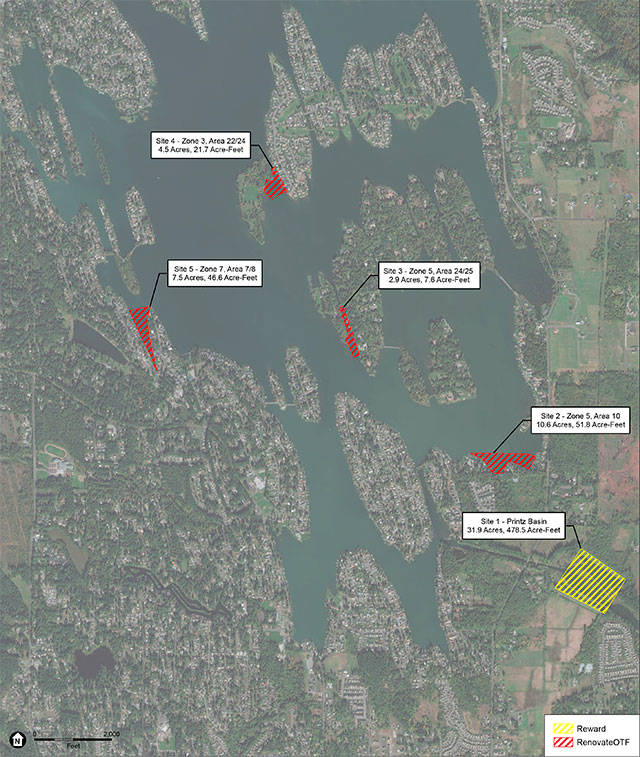 The various areas on the lake where Cascade Water Alliance will be treating milfoil in Lake Tapps. Image courtesy Cascade Water Alliance