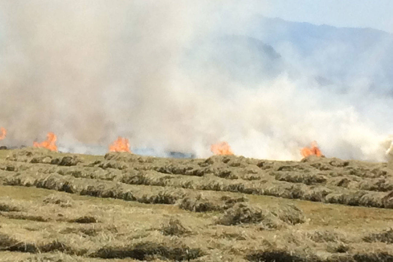 Grass fire extinguished in Enumclaw | Puget Sound Regional Fire Authority