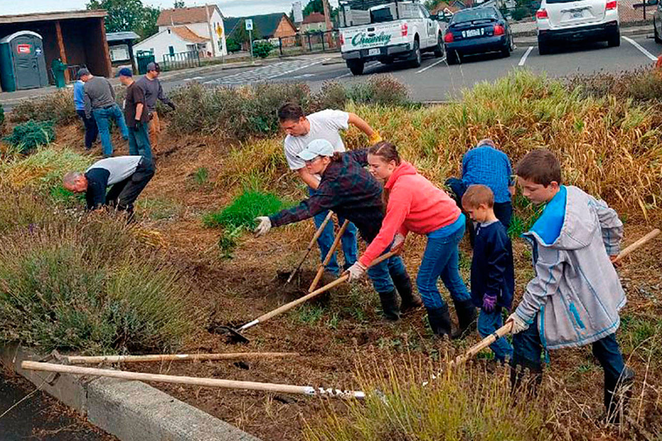 Beautify Enumclaw, Buckley | Slideshow