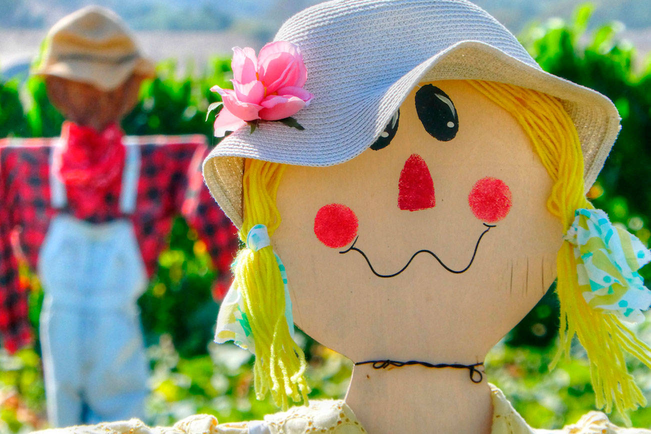 Artists sought for new fall Scarecrow contest, Gallery 2020