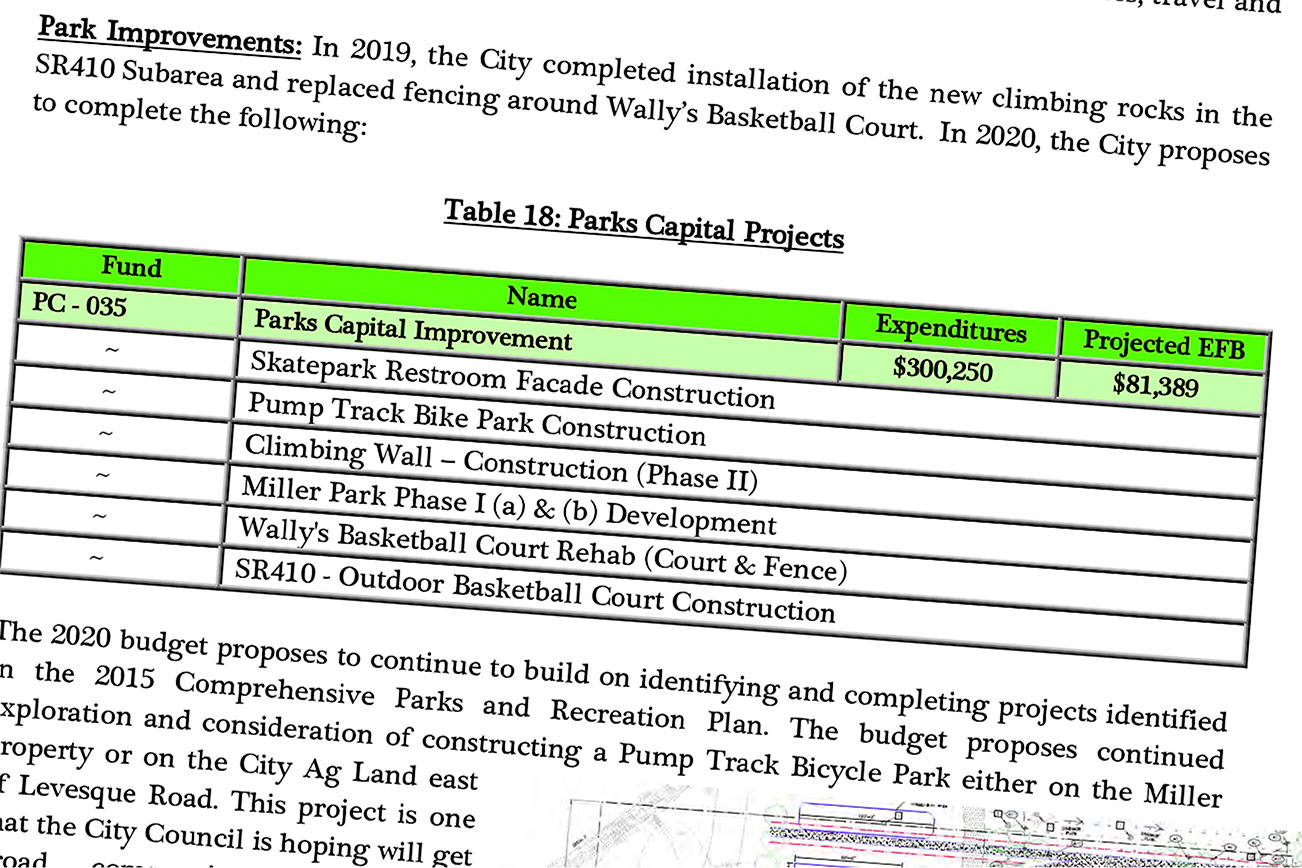 Buckley’s plan for 2020 includes first phase of new park