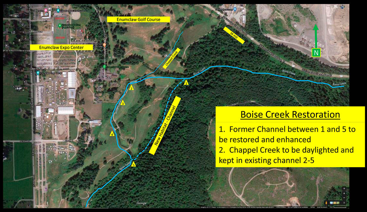 In order to free up room for salmon, Boise Creek will be rechanneled and restored along the edge of the Enumclaw Golf Course. This will not only provide shade for the salmon, which is vital for their survival upstream, but also keep the creek from flooding the golf course, which has resulted in some holes being closed in the past. Image courtesy the city of Enumclaw