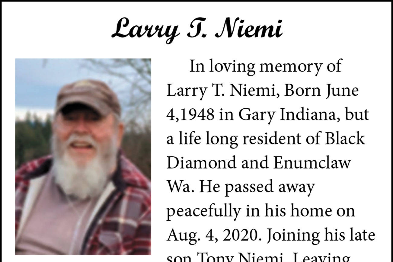 Larry Niemi