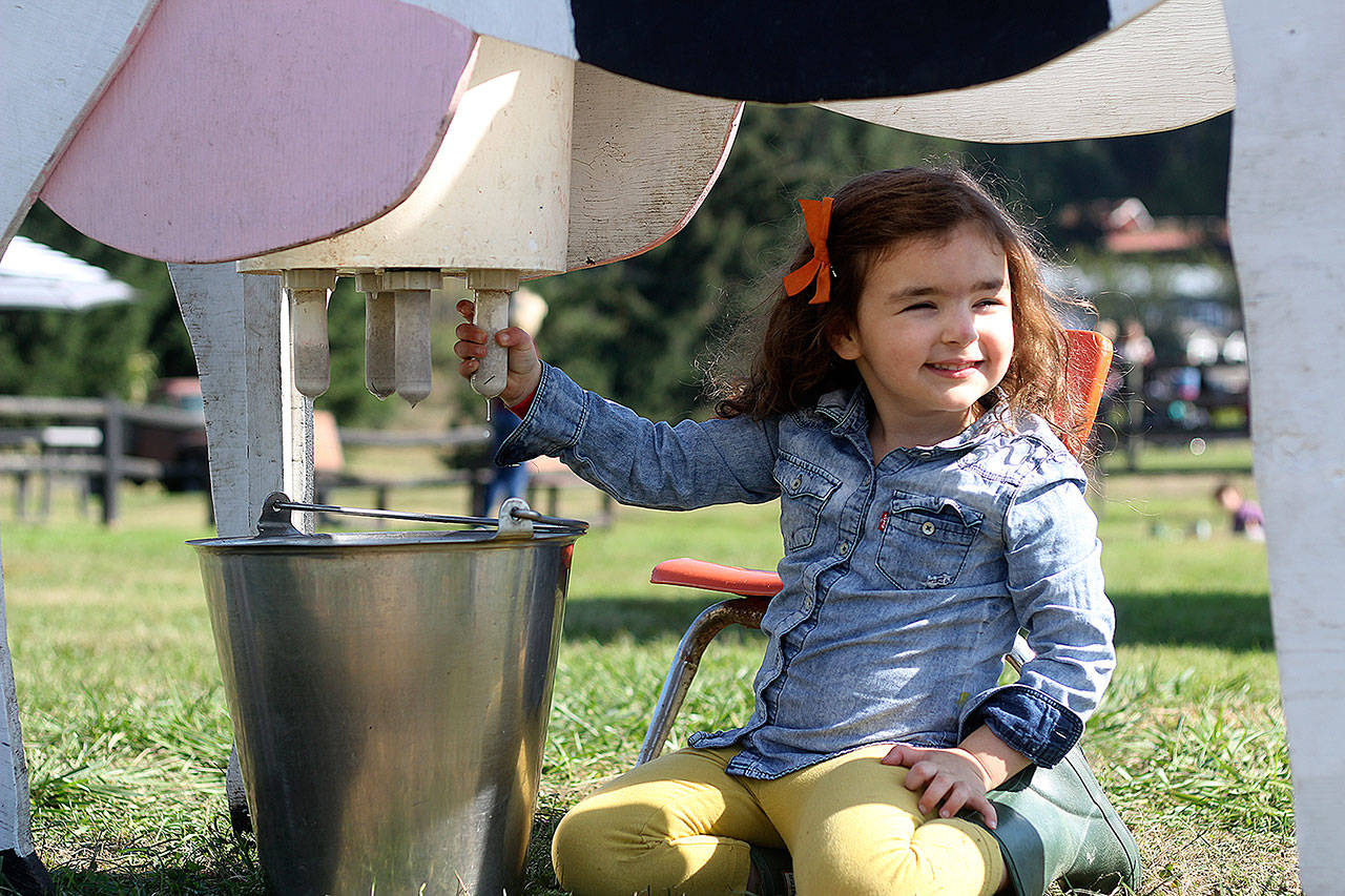 Thomasson Family Farm is alive with family-fun activities, from picking out pumpkins for Halloween to visiting the farm animals and the themed corn maze. Above is Olive Alvis practicing her milking skills on “Squirty Gierty” while Wilder Ramos is pictured in the pumpkin patch below. Photos by Ray Miller-Still