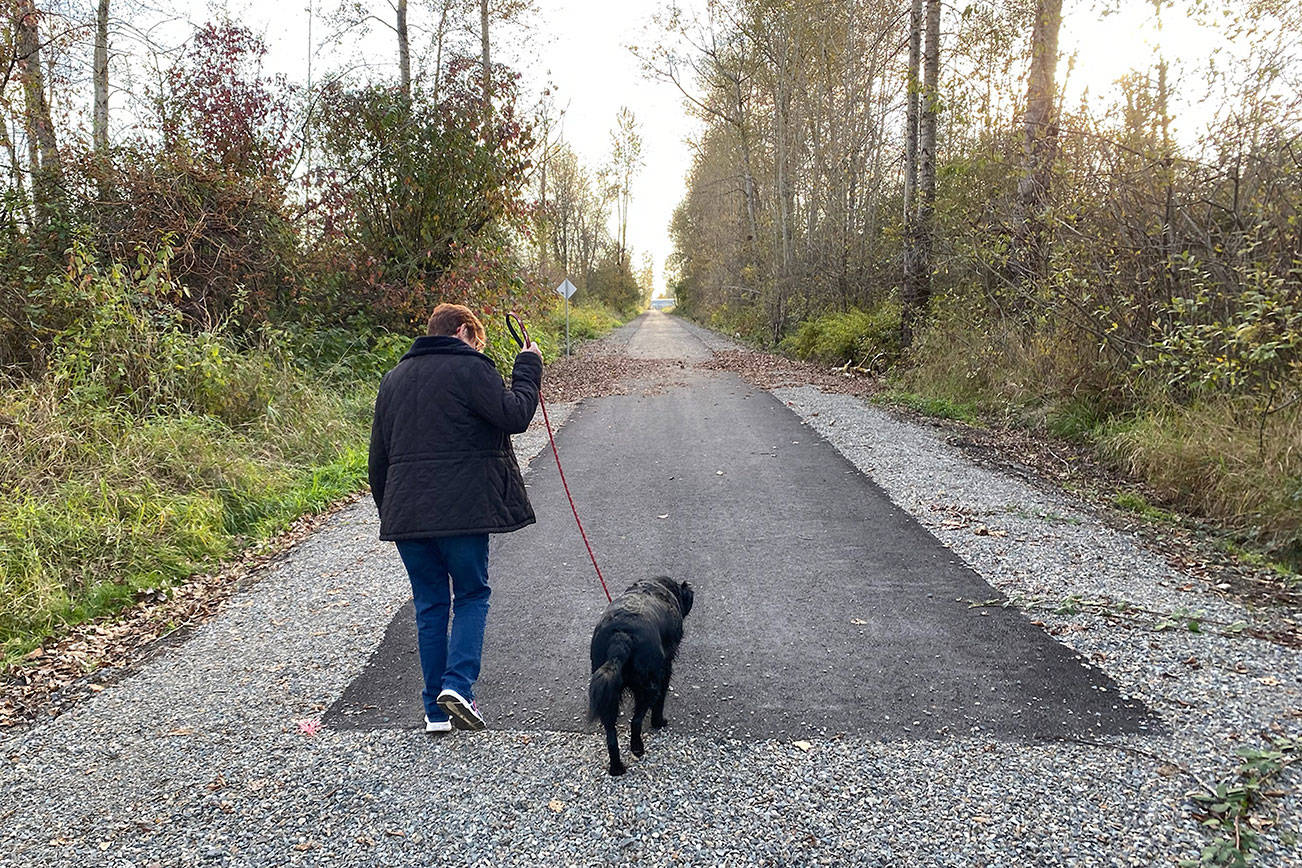 A new paved trail, provided by the city of Enumclaw, extends to a point just shy of the city limits. Here, a trail user and canine companion turn and head back toward Battersby Avenue. Photo by Kevin Hanson