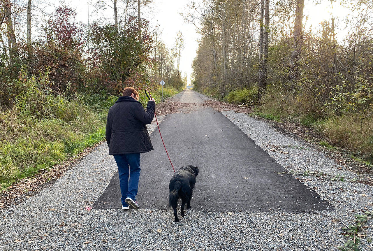 A new paved trail, provided by the city of Enumclaw, extends to a point just shy of the city limits. Here, a trail user and canine companion turn and head back toward Battersby Avenue. Photo by Kevin Hanson