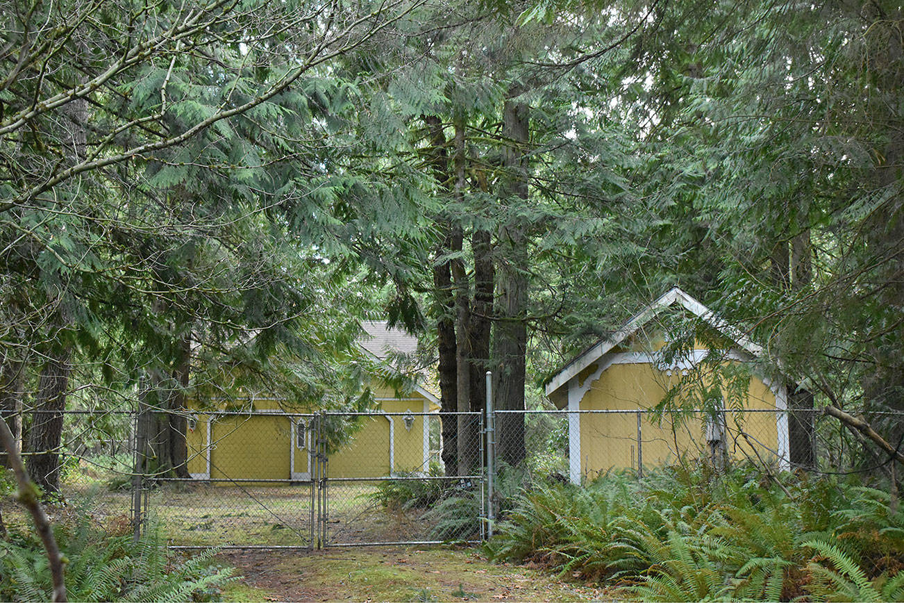 Property along Mud Mountain Road has sat vacant and unused for years. Now, a local group has come forward with a proposal for the city-owned park land. Photo by Kevin Hanson