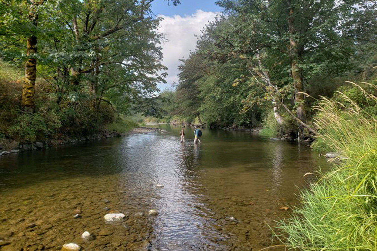 A portion of the South Prairie Creek, which recently received updates to its flood thresholds. Photo courtesy the Puget Sound Estuary Program