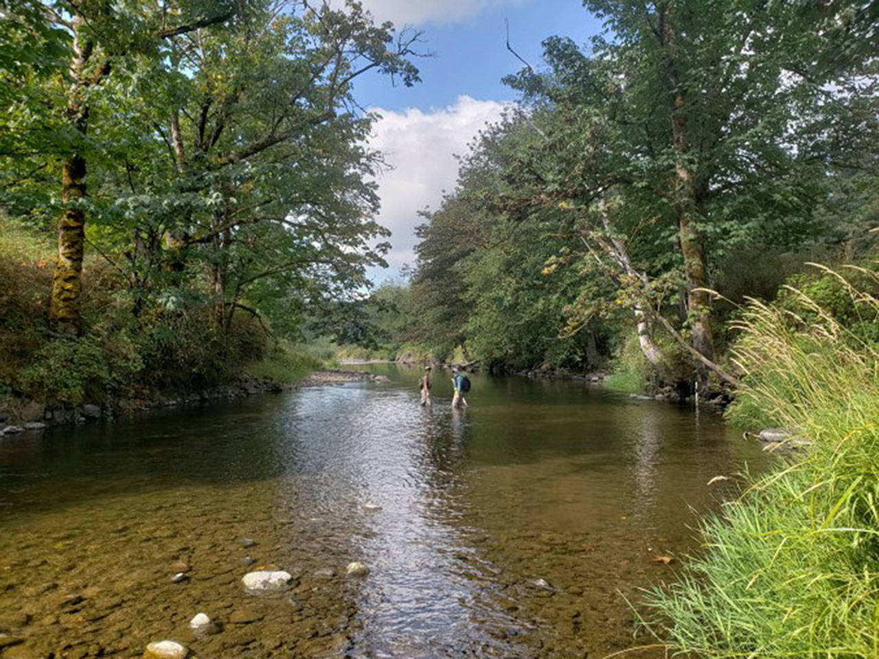 A portion of the South Prairie Creek, which recently received updates to its flood thresholds. Photo courtesy the Puget Sound Estuary Program