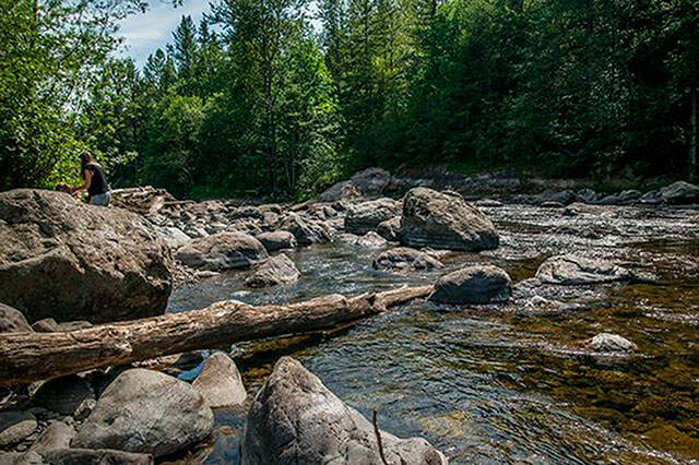 Kanaskat-Palmer State Park is one of the several local parks you can visit for free March 9, 19, and April 22. Photo courtesy Washington State Parks