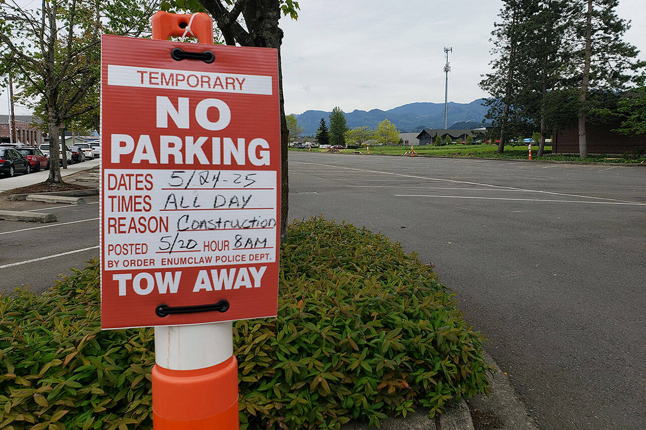 Trees separating the Enumclaw library parking lot from the nearby field have already been cut down, and grinding will soon begin in preparation of that field turning into a parking lot. Photo by Ray Miller-Still