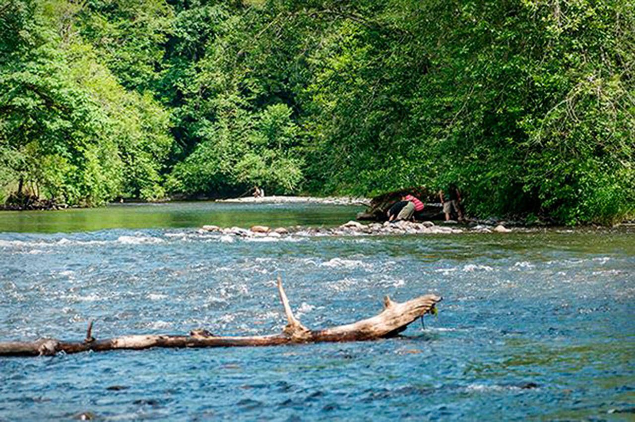 Image courtesy Washington State Parks