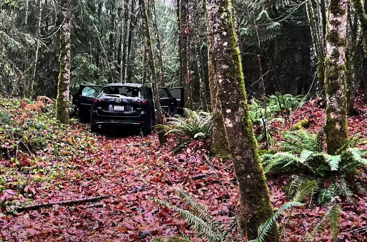 Screenshot
After a 40-year old Orting woman was found dead in University Place, Buckley police and Pierce County deputies found the suspect inside his car in rural Buckley.