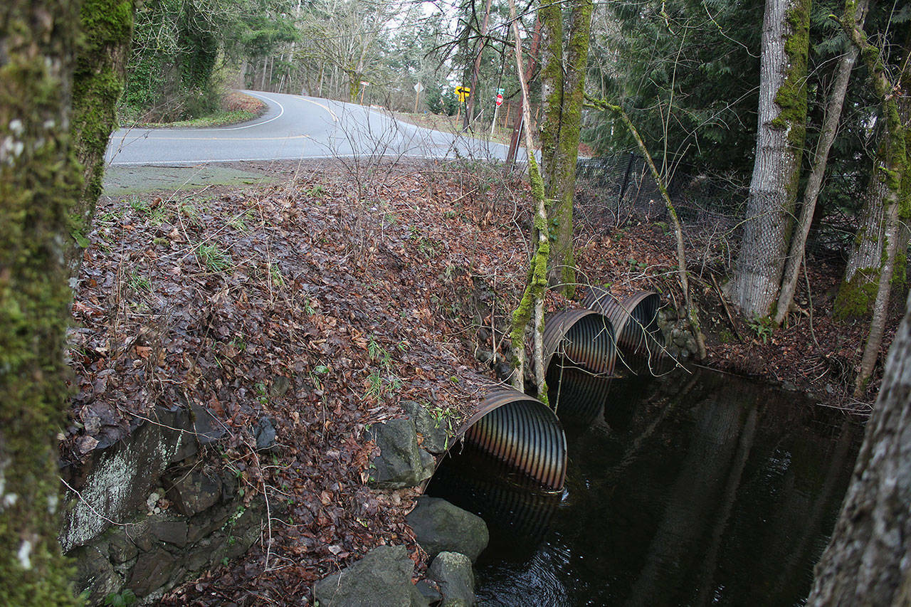 Photo by Ray Miller-Still
These culverts run water fromLake Sawyer underneath 224th Avenue Southeast to Covington Creek. But soon, this stretch of road will be a bridge instead.