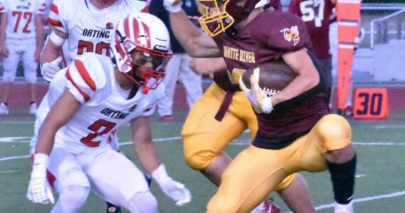 During White River’s Sept. 14, 2023 home game against Orting, Hornet running back Tate Bowen attempts to elude a Cardinal defender.