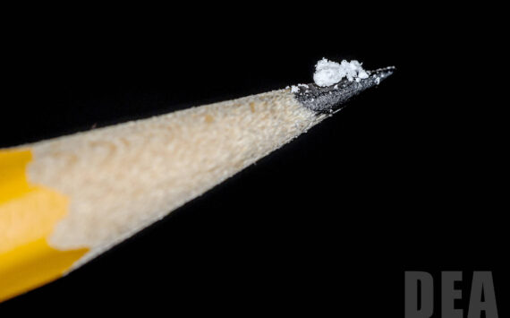 Photo courtesy the Drug Enforcement Administration
A two milligram dose of fentanyl powder (on pencil tip) is a lethal amount for most people.