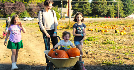 Photos by Ray Miller-Still
There are many fall-related activities on the Plateau; need pumpkins? Thomasson Family Farms is there. Need a scare? Maris Farms has you covered. And trick-or-Treating? Come to Enumclaw on Halloween to get your fill of candy.