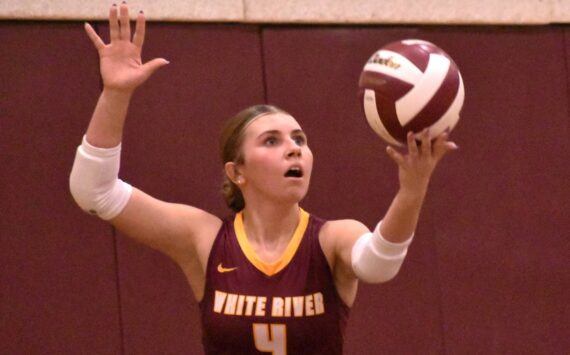 Hornets from both sides of the county line gathered the evening of September 24 to stage the volleyball version of the Battle of the Bridge. The teams from Enumclaw and White River squared off in EHS's Chuck Smith Gym, both sporting undefeated records. It was the Buckley swarm of Hornets who secured bragging rights with a three-set victory (see Sports Roundup for details). In this photo, White River's Taylor Arnold prepares to launch a second-set serve. Photo Kevin Hanson