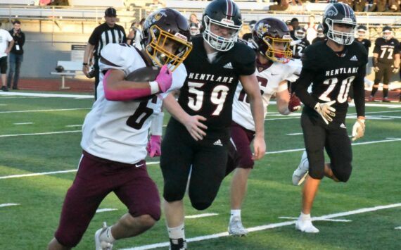 Hornet Hunter Maris runs for big yardage against the Falcons and linebacker. For more information about how local football teams performed, head to <a href="https://www.courierherald.com/sports/ehs-wrhs-continue-to-bulldoze-through-npsl-3a-teams/" target="_blank">EHS, WRHS continue to bulldoze through NPSL 3A teams</a>. Photo by Kevin Hanson