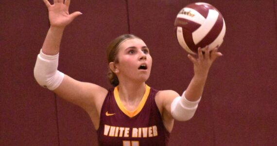 FILE PHOTO BY KEVIN HANSON
There have been many bright spots for the White River volleyball team that had compiled a perfect 10-0 record through games of last week and climbed to the top of the 3A NPSL standings. Among the Hornet standouts has been sophomore Taylor Arnold, pictured here during an early-season match against Enumclaw High.