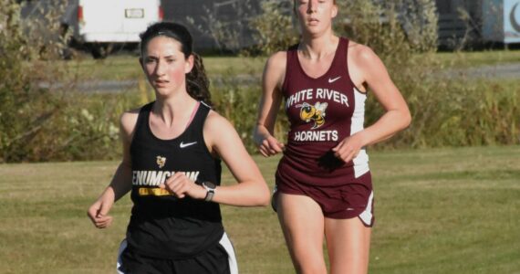 PHOTO BY KEVIN HANSON
Enumclaw and White River squared off in cross country action last week, running the 5K course in Enumclaw. Pictured here are Enumclaw's Lillian Haas and White River's Vivian Kingston who placed second and third, respectively, in the girls race. Full details from the 3A NPSL meet can be found in Sports Roundup.