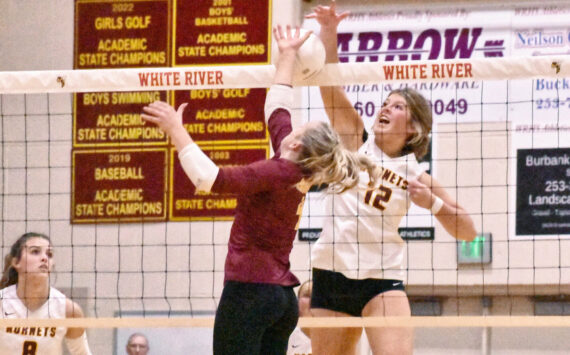 Photo by Kevin Hanson
White River and Enumclaw met for the second time this season on the volleyball court and, for the second time, it was the Buckley squad celebrating a straight-set victory. With the Oct. 24 win, White River stayed perfect in league play (14-0) while Enumclaw remained a step back (11-2) in the 3A North Puget Sound League standings. In this photos WR standout Kianna Rohner (#12 in white) battles for a kill at the net.