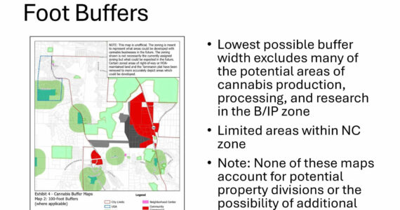 These two images show different marijuana retail zoning regulations Black Diamond councilmembers could adopt and how it could affect where those retailers could operate within the city. The red area represents where retailers can operate, and the black where marijuana producers and processors could set up. The dark green are places like schools and playgrounds (mandatory 1,000 foot barrier). The light green areas are mostly open space like Lake Sawyer Park and the Black Diamond Open Space, but also playgrounds and the community center. This image demonstrates how a 100-foot buffer between retailers and anything operating in the light green areas would affect pot shops. See below for an image with a 1,000-foot barrier. Image courtesy the city of Black Diamond